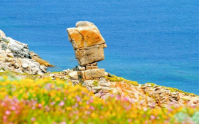 Le Case di Felicita